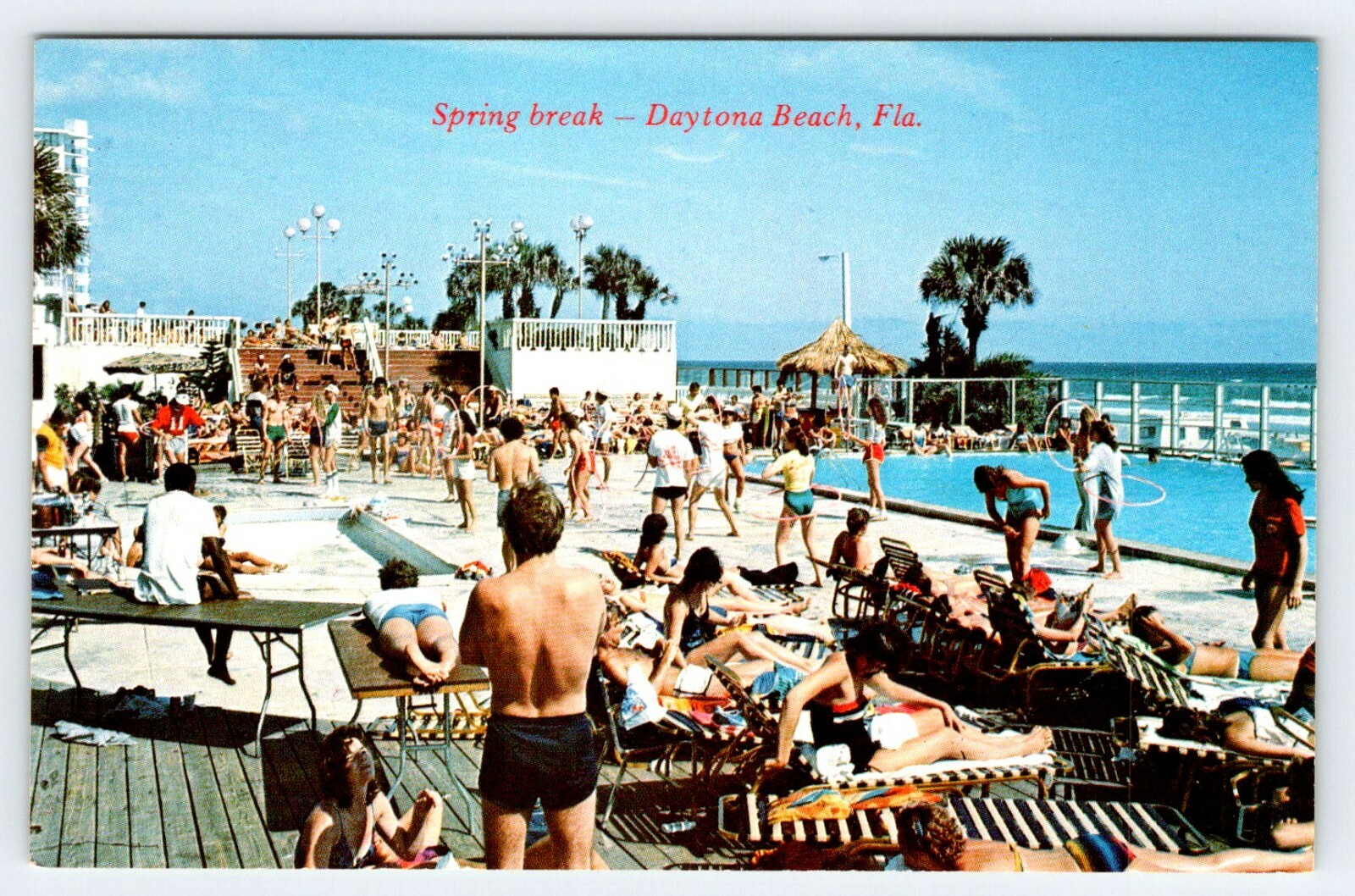 College Students Spring Break Daytona Beach Florida Unused Vintage Postcard  AF33 | eBay
