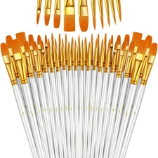 Paint Brushes Set, 5 Pack 50 Pcs Round-Pointed Tip Paintbrushes Nylon Hair Ar...