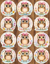 Cute Owl Vinyl Die Cut Stickers Set Scrapbooking Laptop Waterbottle
