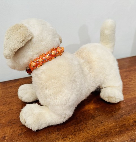 Collare Cani, Tecnico Arancione con Perline e Strass Arancioni , Mis. S - Foto 3 di 17