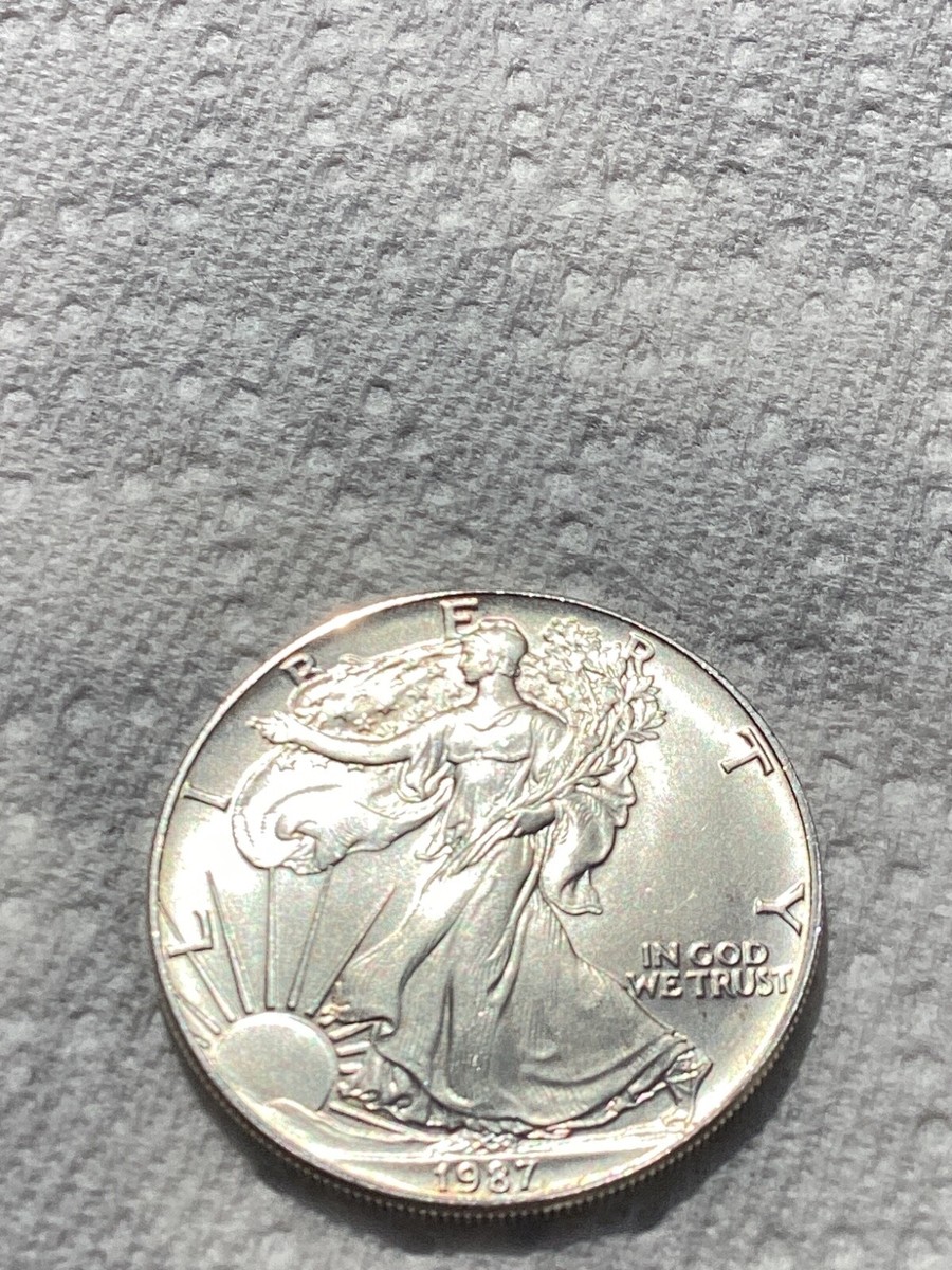 J*l様 1987 Walking Liberty Silver Coin 1987 Liberty Walking American Silver Eagle Dollar Coin | eBay