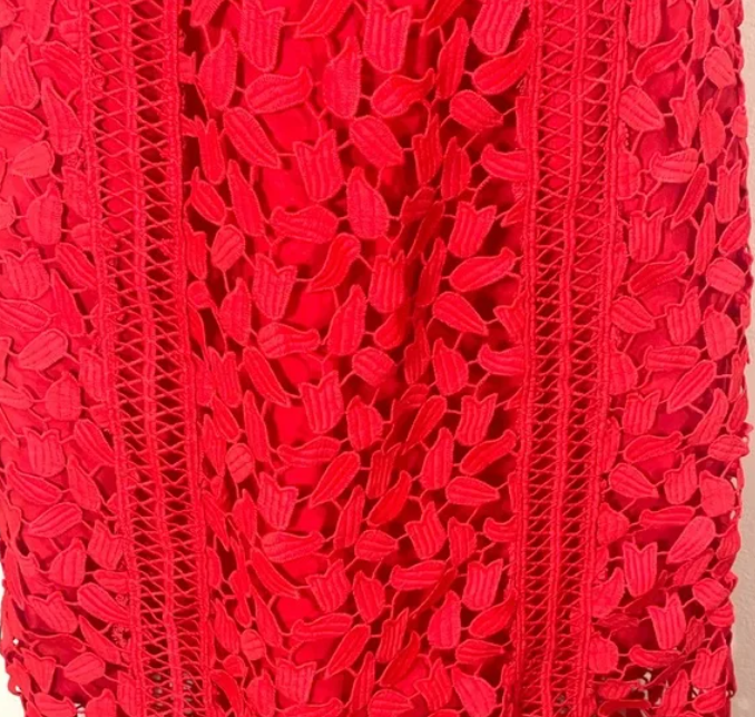Bardot Roxy Lace Dress in color lipstick size 6/small | eBay