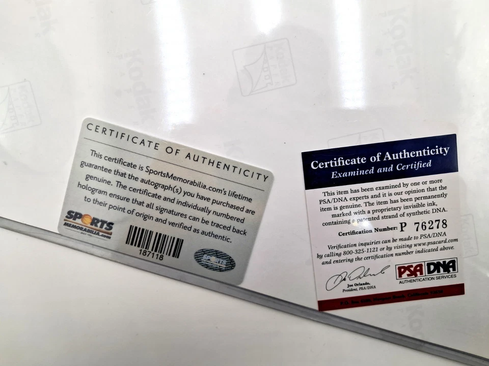 LARRY BIRD & KEVIN MCHALE Signed Autographed 16x20 Photo ~ PSA DNA Authentic - Image 4 of 4