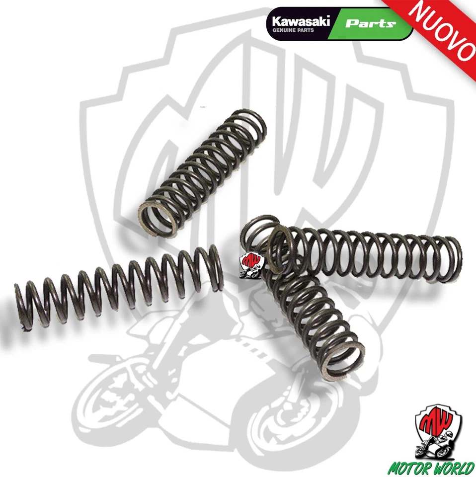FRIZIONE EBC + MOLLE + GUARNIZIONE COPERCHIO KAWASAKI Z 750 2009 2010 2011 2012 - Immagine 4 di 4