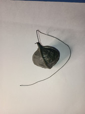 Boulder (w/ string) for sale