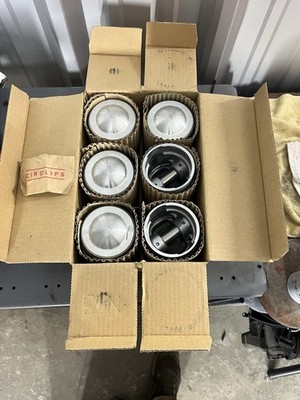 JAGUAR 4.2 HEPOLITE 6 PISTON SET 9:1 E-TYPE 420 420G  XJ6 XKe +040 BP2288