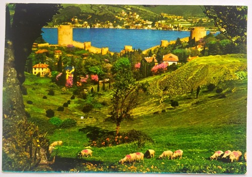 Istanbul The Fortresse And The Bosphorus Vintage Color Photo Postcard - Picture 1 of 2