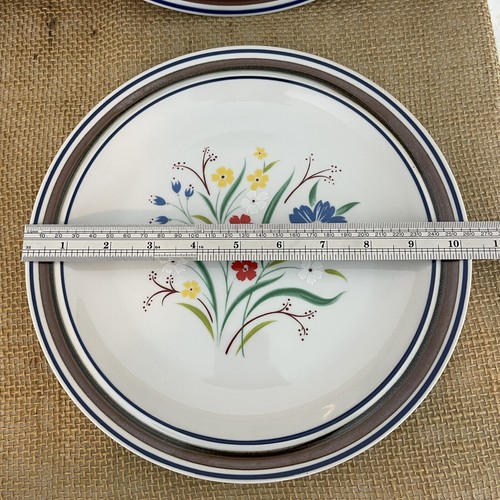Salem Stoneware Georgetown Floral Handcrafted Oven Proof Dinner Plates (4) - Picture 4 of 6
