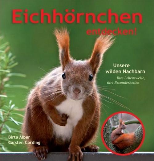 Thumbnail - Eichhörnchen Entdecken Birte Alber Carsten Cording