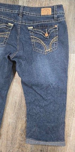 Hydraulic Crop Jeans, size 8P - Picture 10 of 15