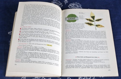 Naturkundliches Arbeitsbuch Nr 4 Klasse 8 und 9 Bildung 1 x Buch TOP wissen gut - Bild 7 von 17