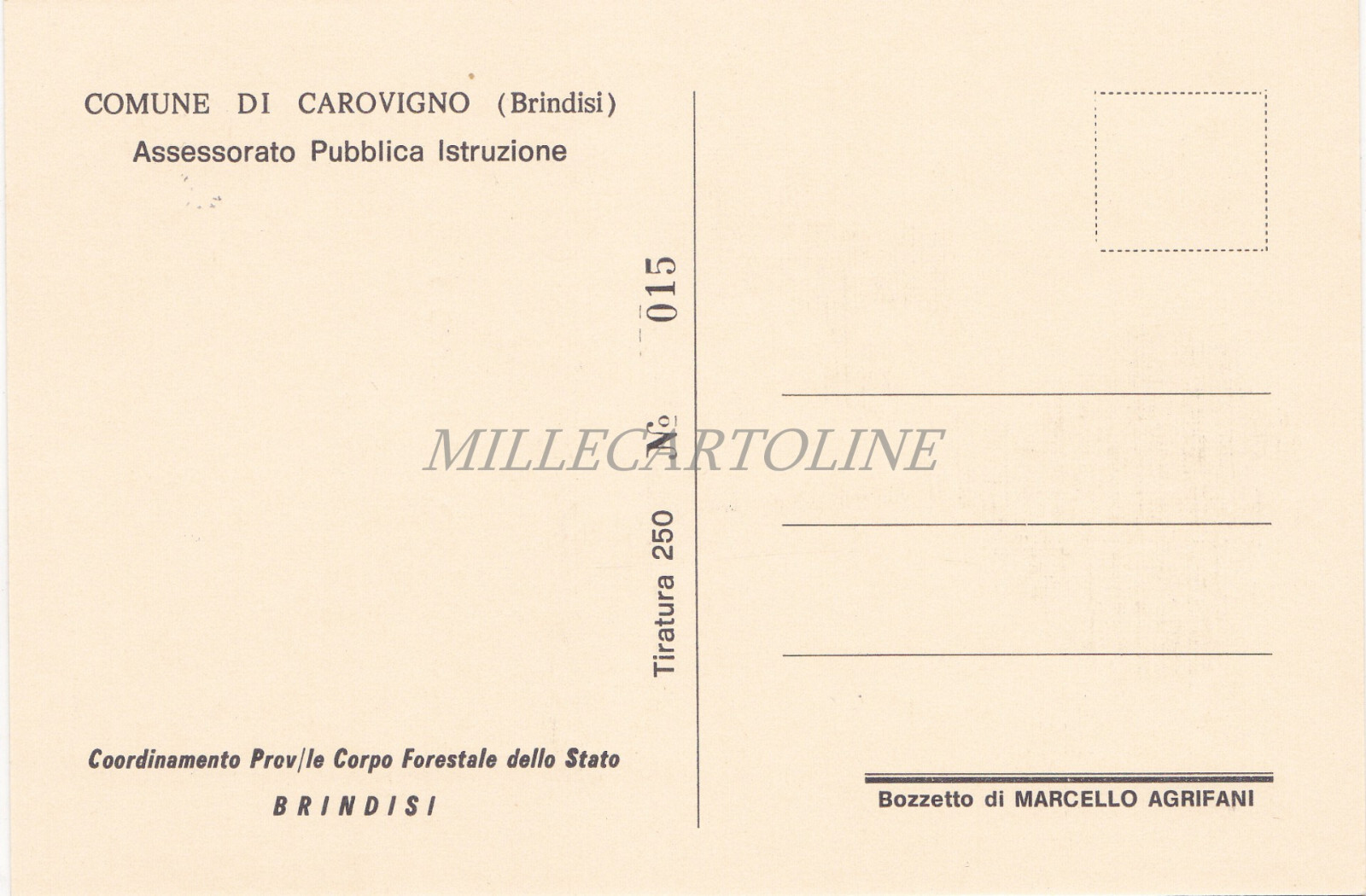 Foto 6 di 14