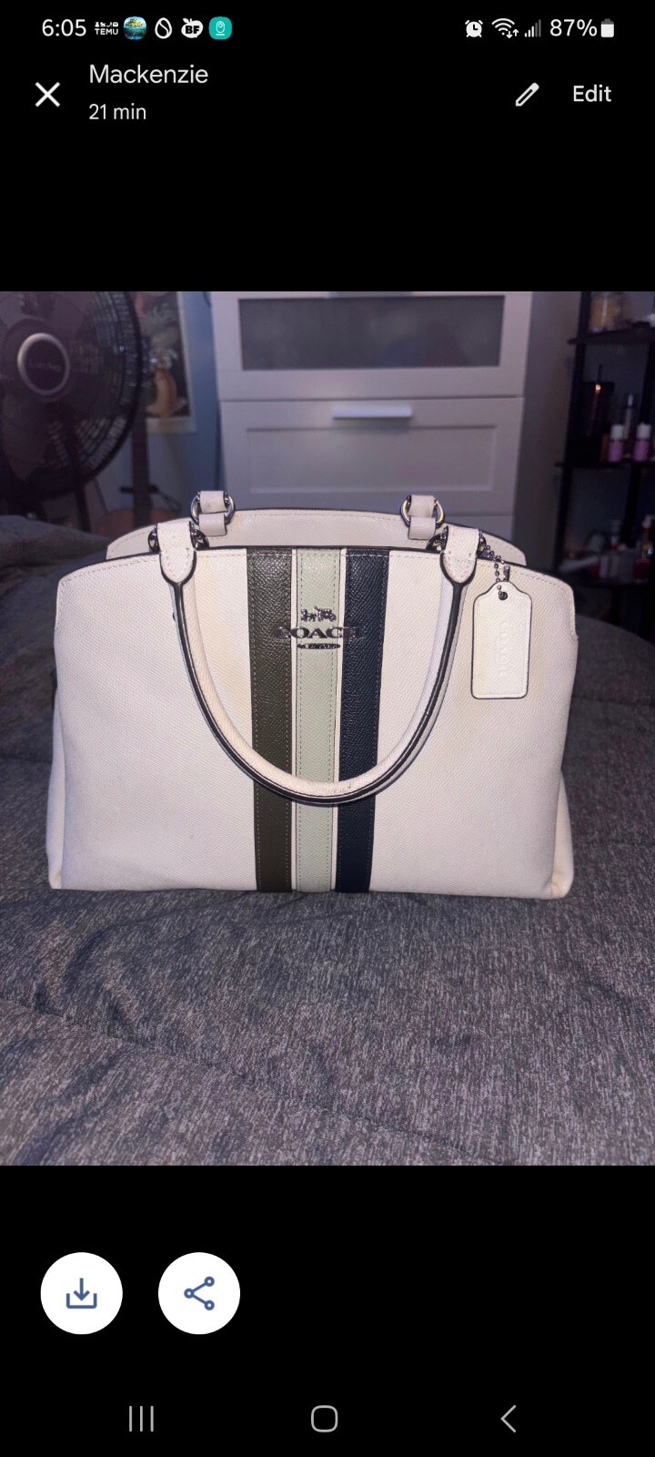 COACH Lillie Varsity Stripe Carryall Bag