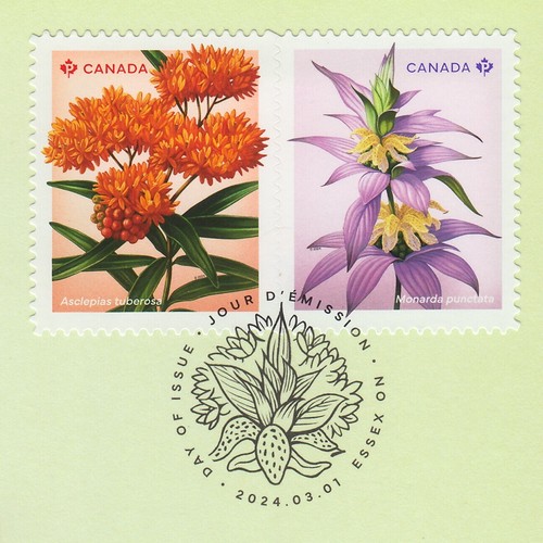 qq. WILDFLOWERS = Butterfly Milkweed, Spotted Beebalm = FDC Type 1 Canada 2024 - Bild 2 von 3