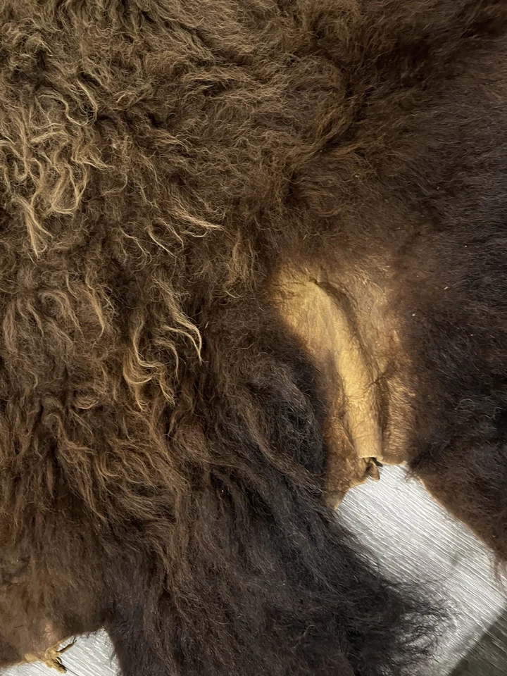 Genuine Bison Hide – little over 36 sq Ft – Authentic Bison Rug / Leather - Image 3 of 4