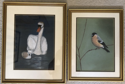 Zwei ornithologische Studien von Pat O' Connell. Pastell. Signiert. mittelgroß