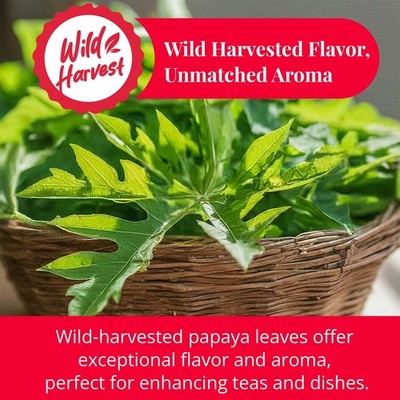 Dried Papaya Leaves 2.6 oz , Papaya Leaves Herbal Tea, Te De Hojas De Papaya
