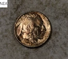 1913 TY1 Buffalo Nickel ~ Uncirculated ~ Type 1 ~ ZB427