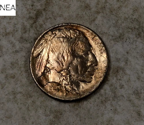 1913 TY1 Buffalo Nickel ~ Uncirculated ~ Type 1 ~ ZB427