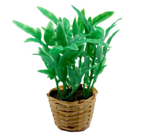 Bambole Casa Grande Verde Pianta IN Wicker Basket 1:12 O Giardino Accessorio
