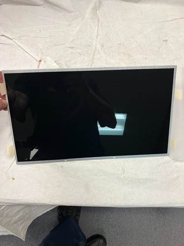 B156Xtn02.0 Sostituzione Portatile 15.6" Lcd Schermo Display LED H/W:2A F/W:1 NUOVO - Foto 1 di 8