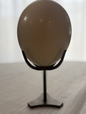 Antique Genuine Blown Ostrich Egg w/ Metal St...