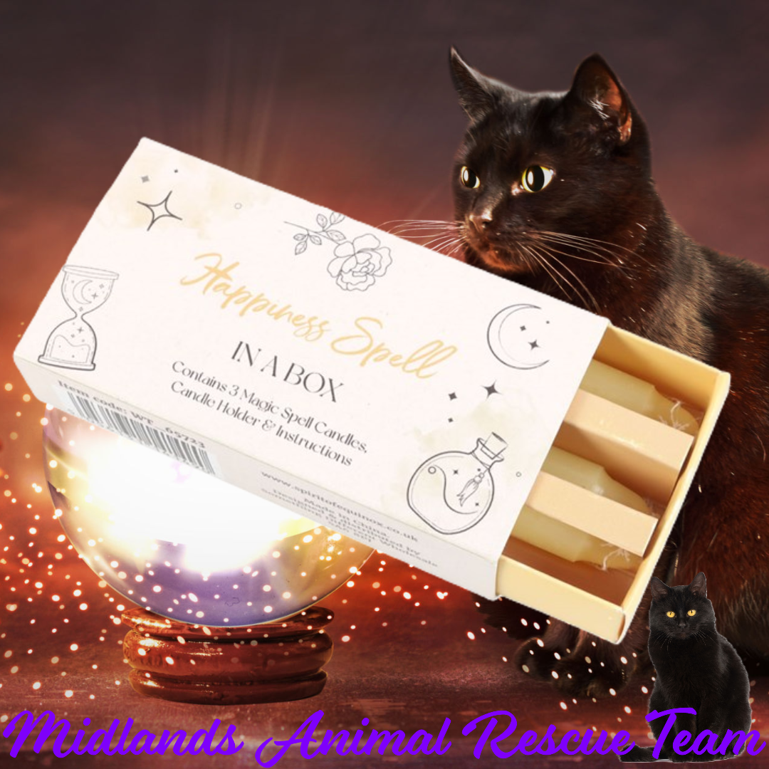 Magic Happiness Spell in a Box - 3 Pk - Sale For Our Animal Charity