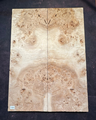 Pappelmaser TOPS | Poplar Burl | Tonholz | ca. 555 x200 x 25 mm (x2) | #1383