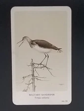General Cigar Company Trading Card - No. 16 Solitary Sandpiper - Card 3
