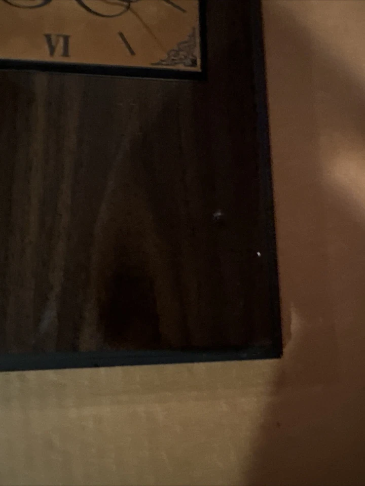 Arnés Reloj de Pared Balmoral Park Carreras de Caballos Ganador Trofeo Serie Raro Foto 4 de 4