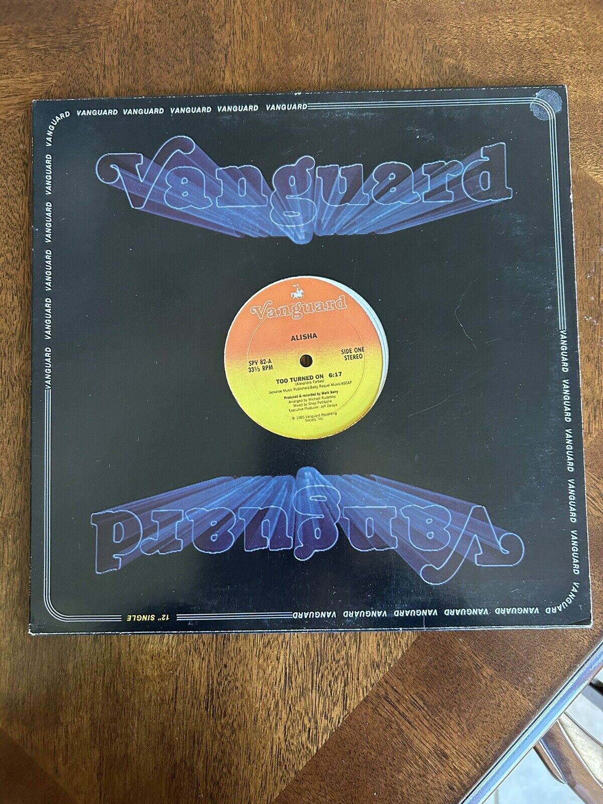 Alisha ‎– Too Turned On 12" Vinyl Single 1985 Vanguard