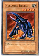 Hercules Beetle - TP1-025 - Common - Unlimited Edition x1 - Near Mint