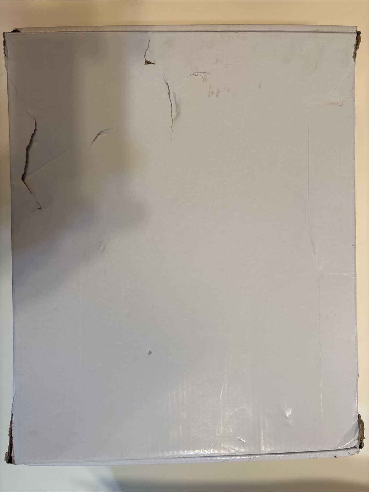Picture 6 of 6
