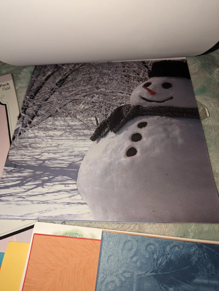 Огромный лот для скрапбукинга картонная бумага сезоны пастель отдельные страницы б/у состояние товара  - Изображение 4 из 4