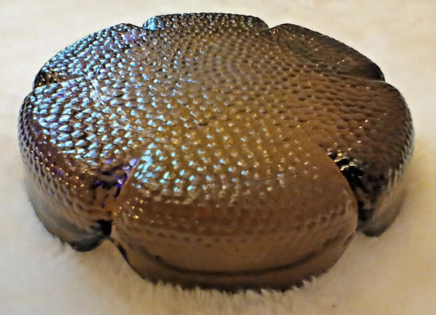 Picture 3 of 10