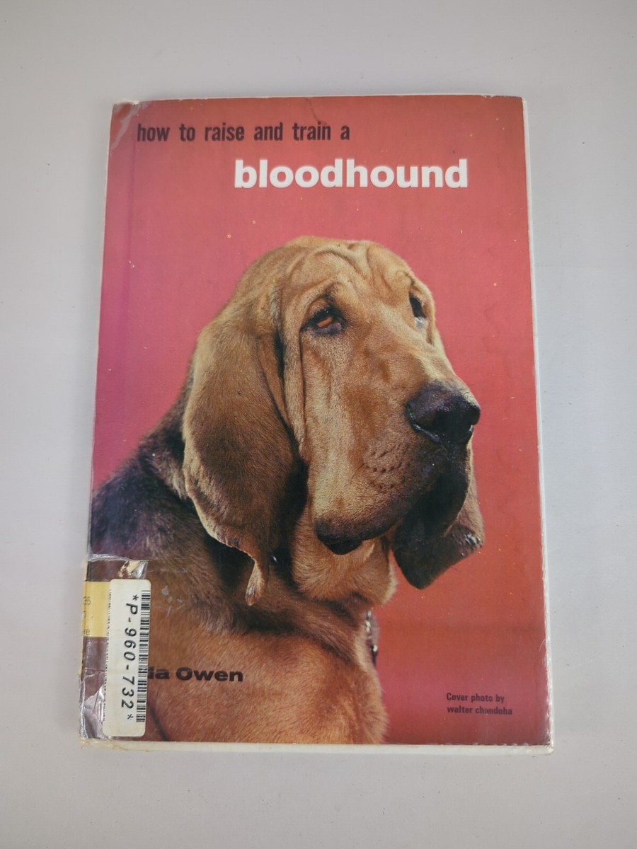 How To Raise And Train A Bloodhound By Hylda Owen Vintage 1964 Dog Book
