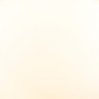 Bild 10 von 12