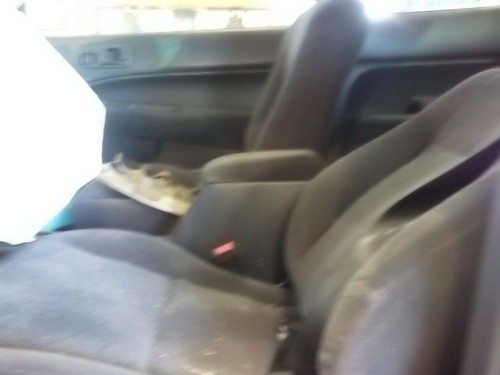 Passenger Side View Mirror Power Coupe 2 Door Fits 96-00 CIVIC 628822 - Bild 9 von 9