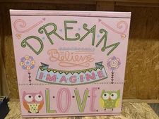 Oopsy Daisy Too Canvas Wall Art Kids Pink Owl 21x21 Dream Believe Imagine Love