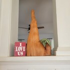 Photo 2/8