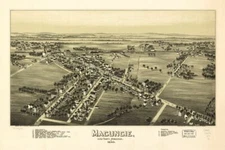 16" x 24" 1893 Macungie Pennsylvania, Bird's Eye Map Macungie