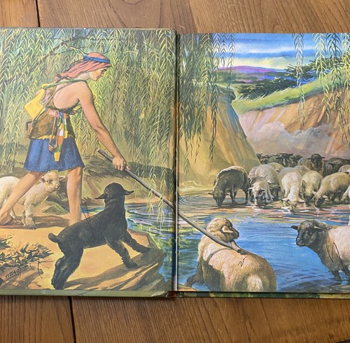 Vintage My Bible Friends 6 Volumes- Hardcover- Will Separate- Book 5 Has Writing - Foto 15 di 21