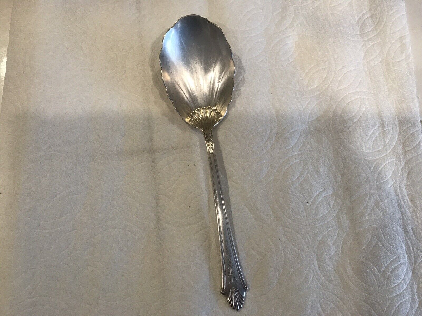 Foto 1 di 8