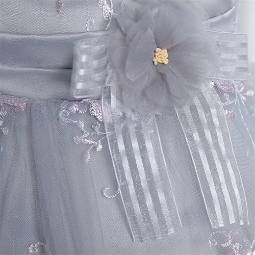 Little Girls Sleeveless Lace Tutu Dress Toddler Birthday Party Gown Wedding - Picture 184 of 197