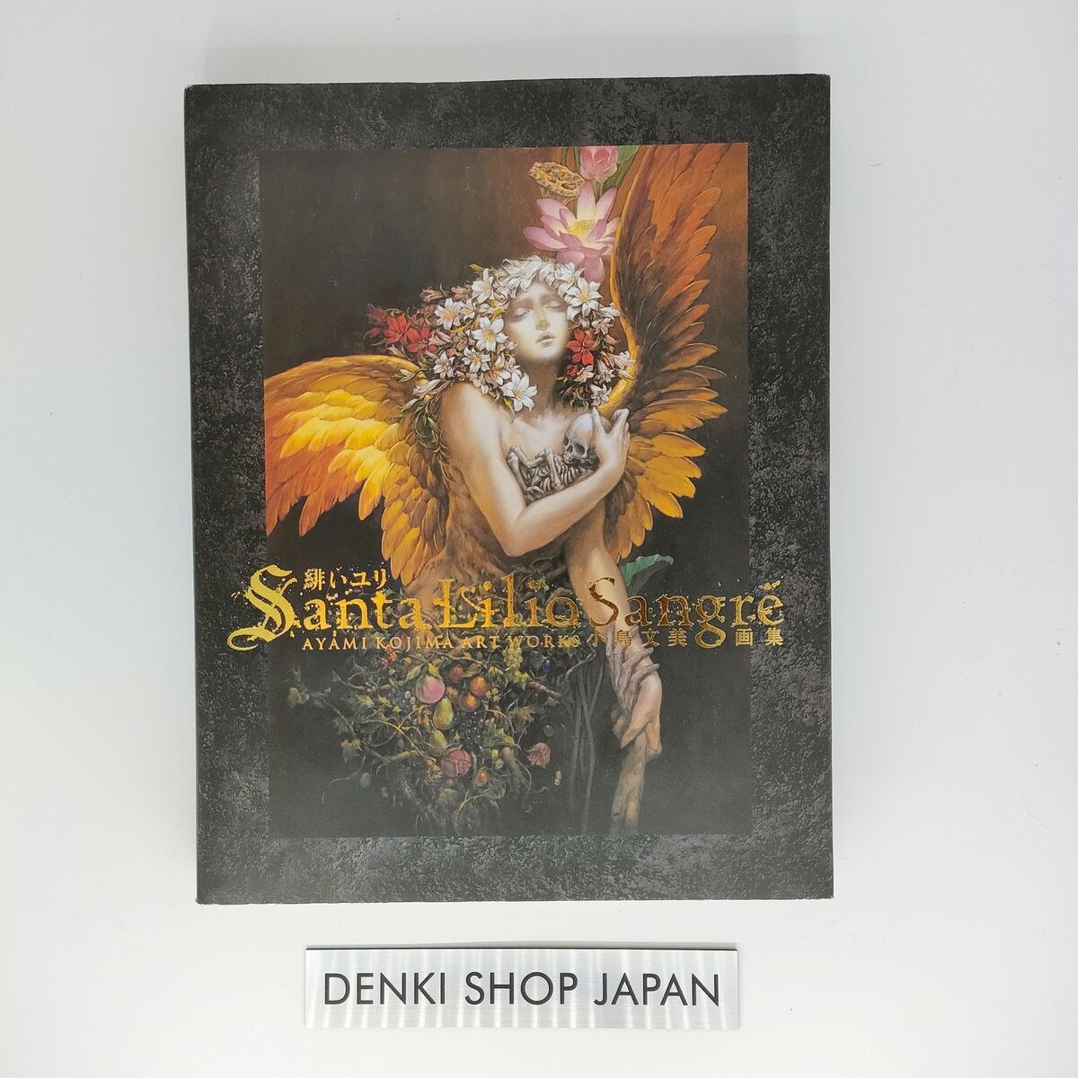 初版 希少 美品 Santa Lilio Sangre 緋いユリ 小島文美 画集 初版 希少 美品 Santa Lilio Sangre 緋いユリ 小島文美 画集