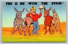Vintage Comic Postcard This Is Me With The Stein Donkeys Cartoon
