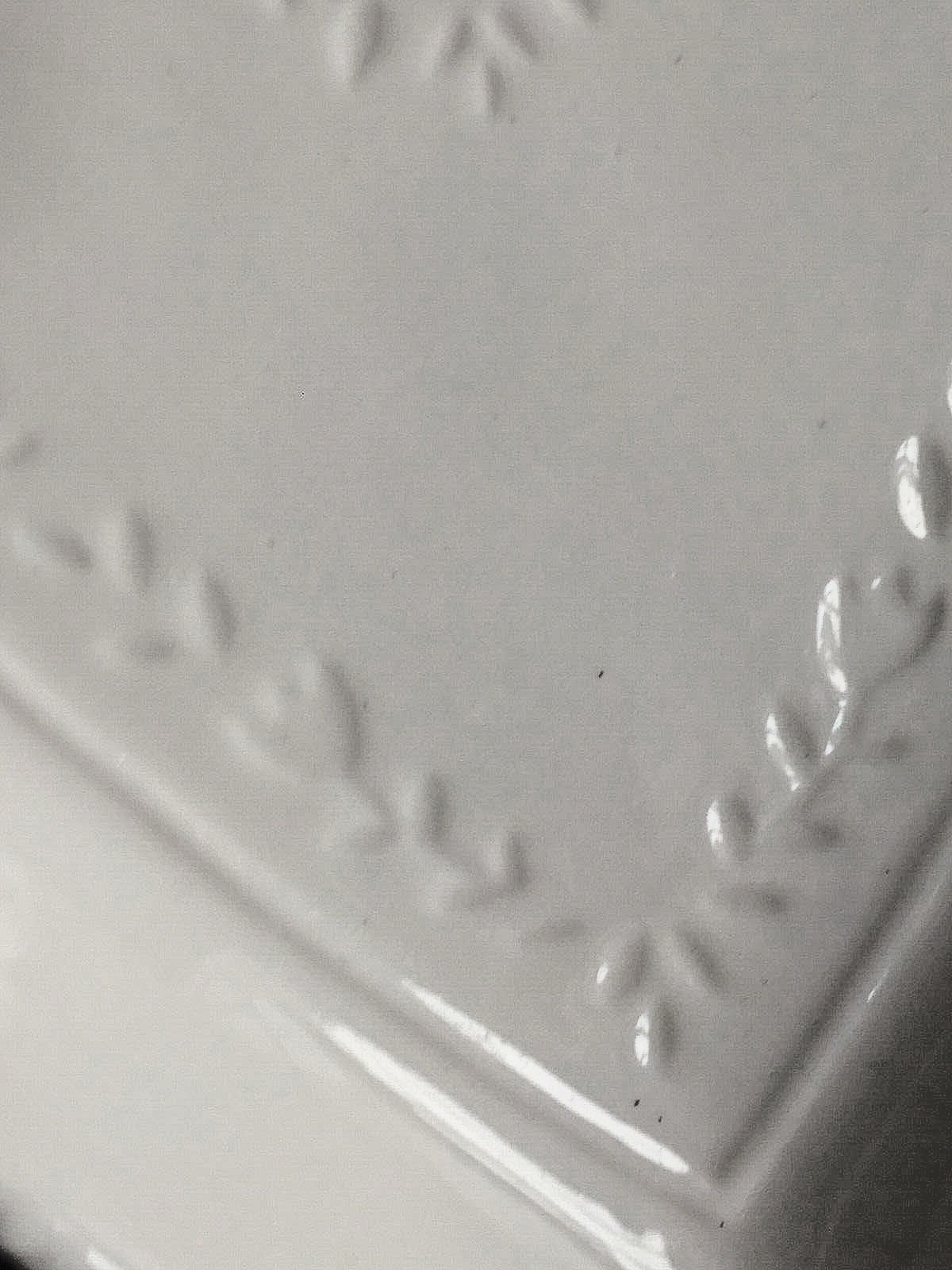 Picture 7 of 7