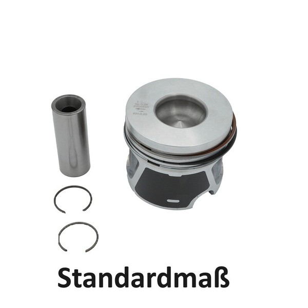 Kolben 81,01Mm Standard FüR Audi Seat Skoda VW 2.0 TDI 03G107065E-image