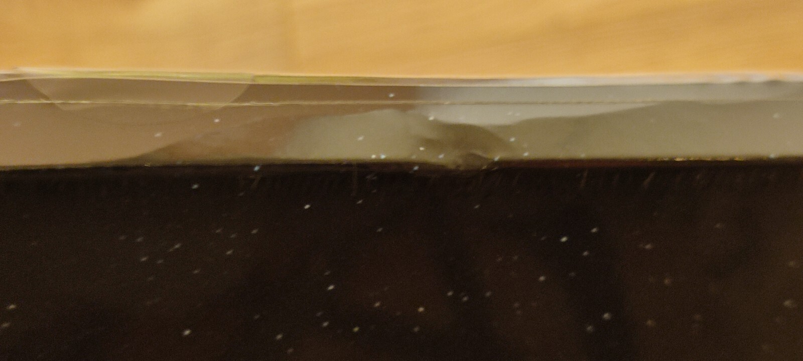 Picture 7 of 8