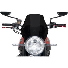 Puig Naked Windshield - ER5 (Dark Smoke) 0869F